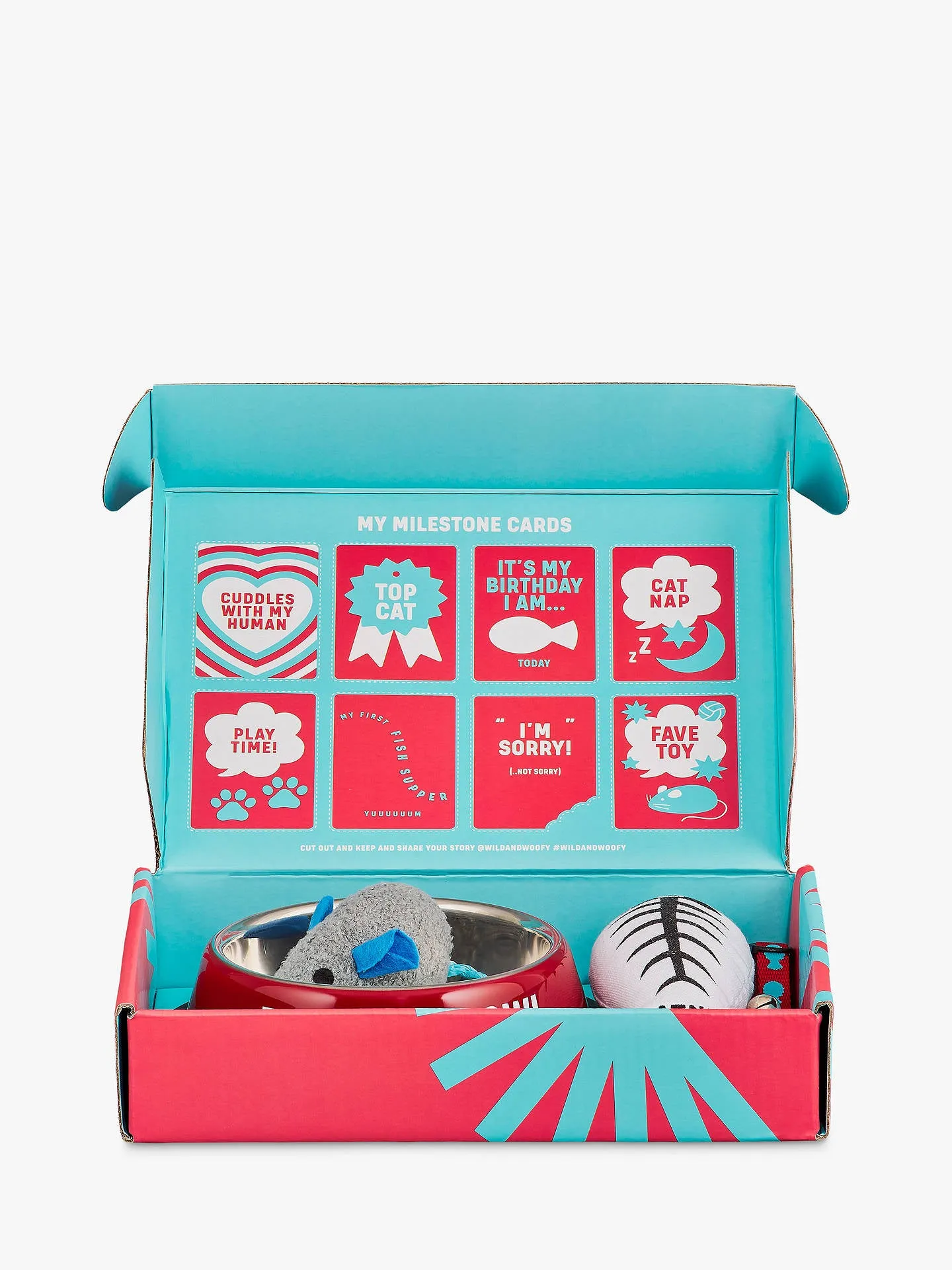 Cat Gift Set