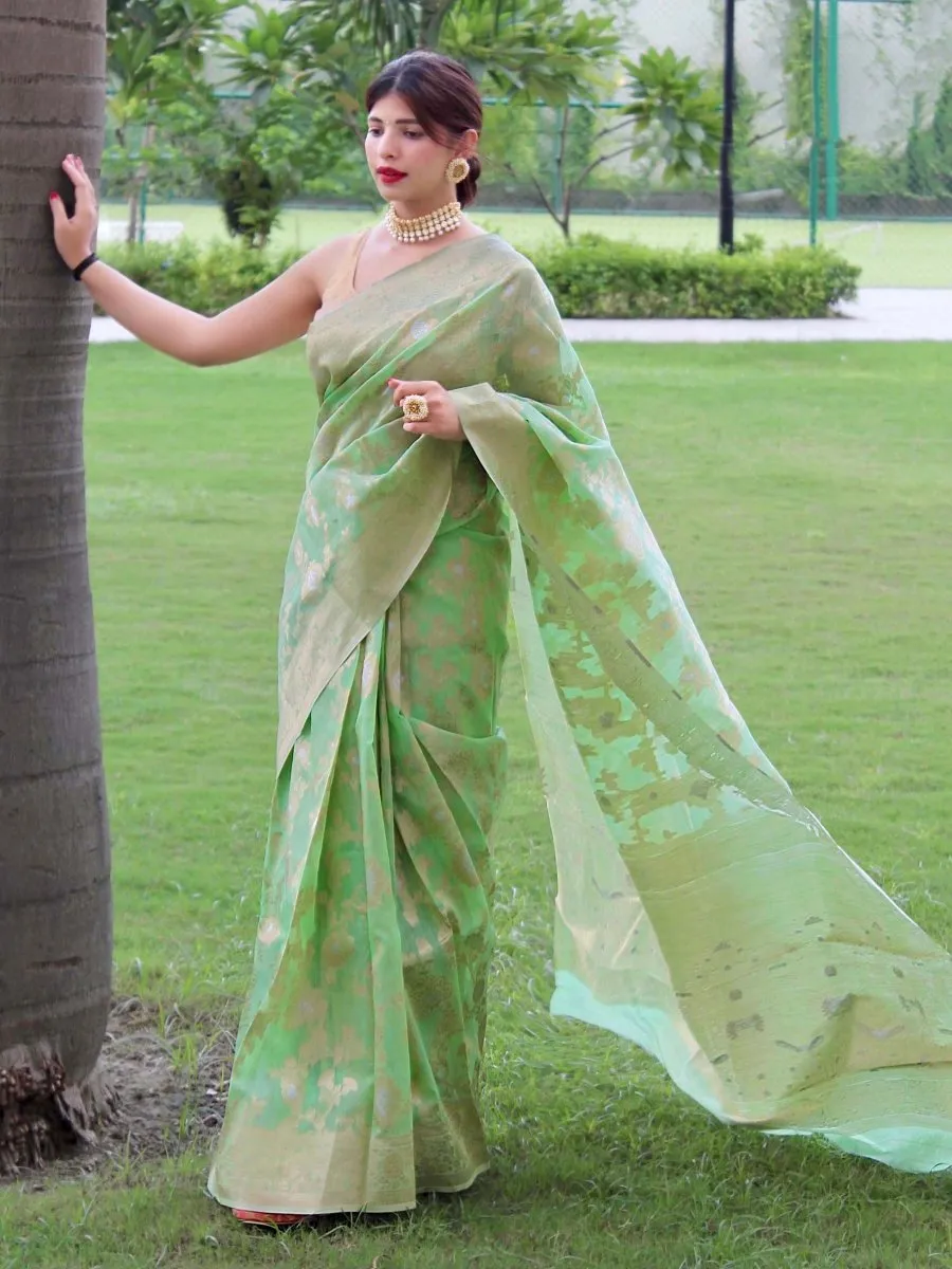 Pastel Green Saree in Linen Silk