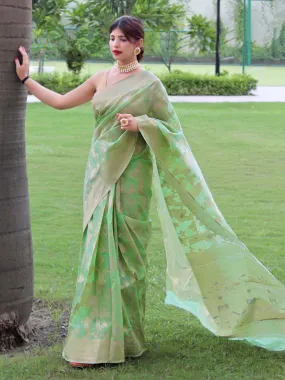 Pastel Green Saree in Linen Silk