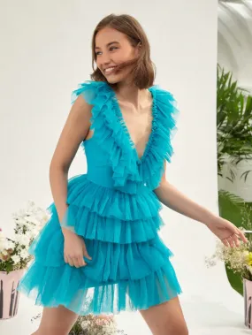 Ruffle Trim Mesh Overlay Dress